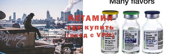 индика Богородицк