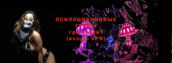 ПСИЛОЦИБИНОВЫЕ ГРИБЫ Белокуриха