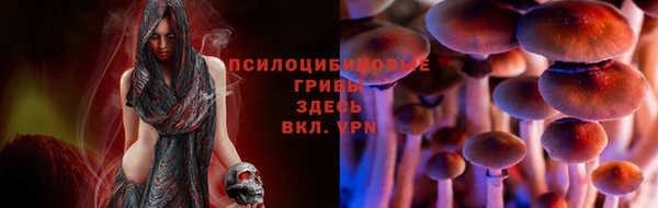 ПСИЛОЦИБИНОВЫЕ ГРИБЫ Белокуриха