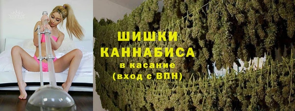амф Богородск