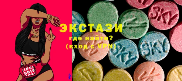индика Богородицк