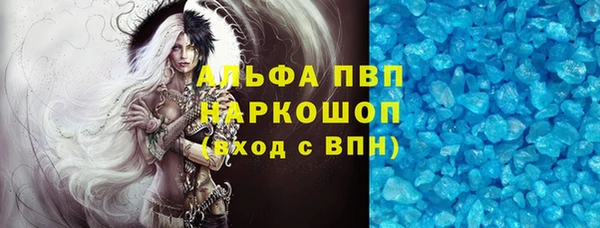 индика Богородицк