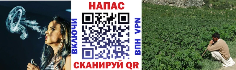 MEGA зеркало  Кольчугино  Канабис марихуана 